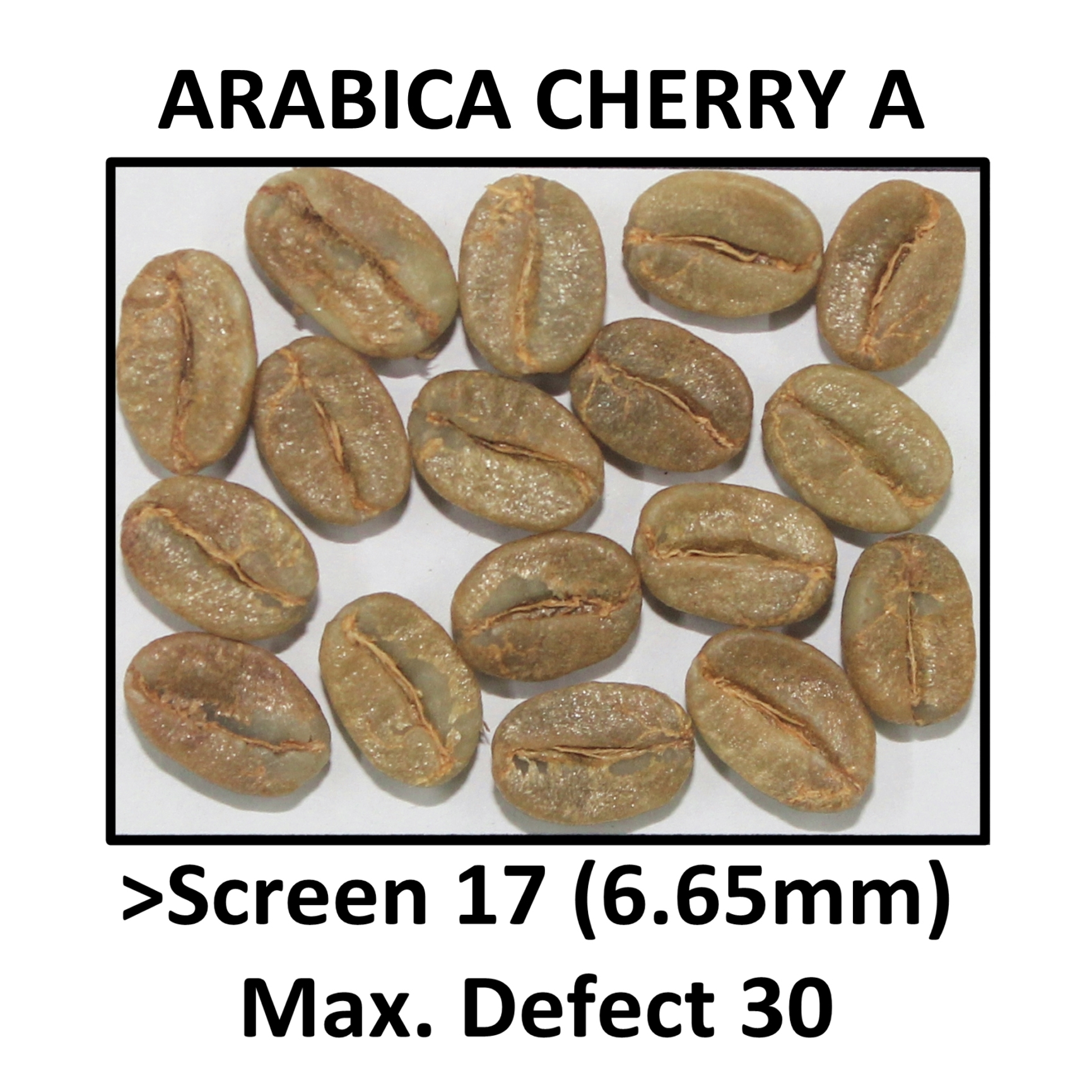 ARABICA CHERRY A
