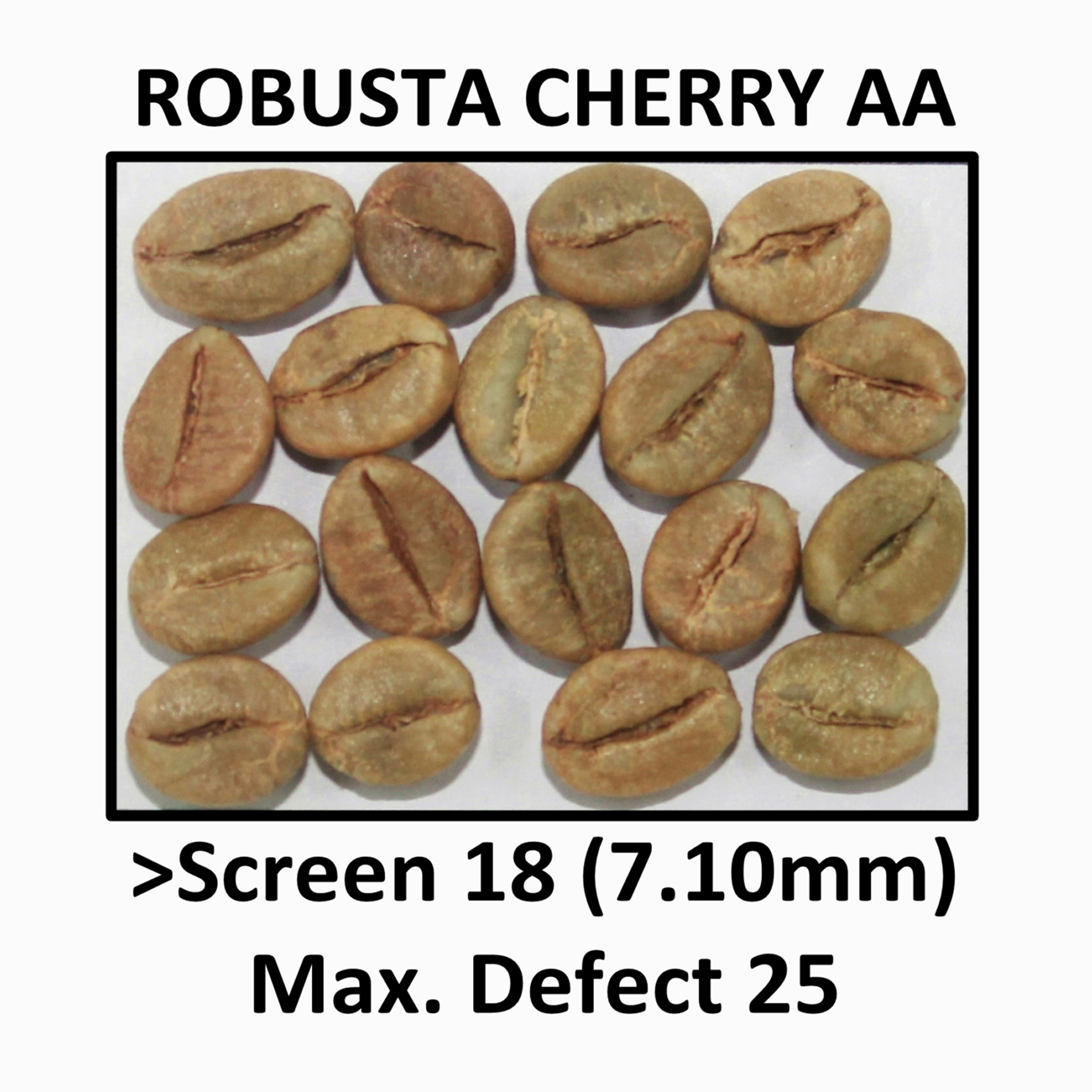 ROBUSTA CHERRY AA