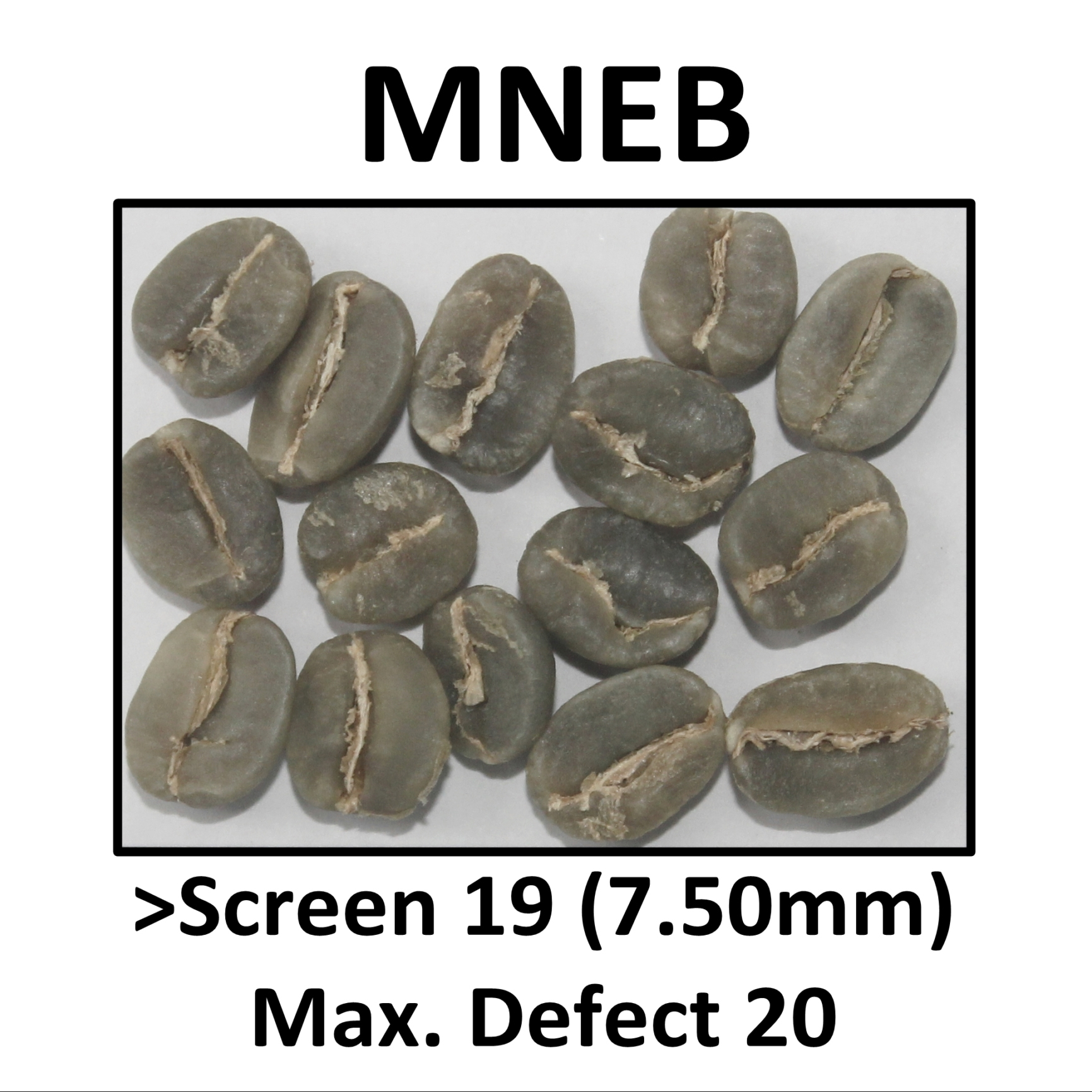 MNEB