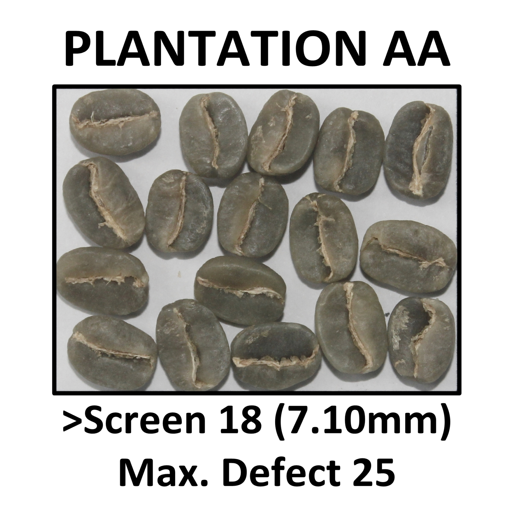 PLANTATION AA