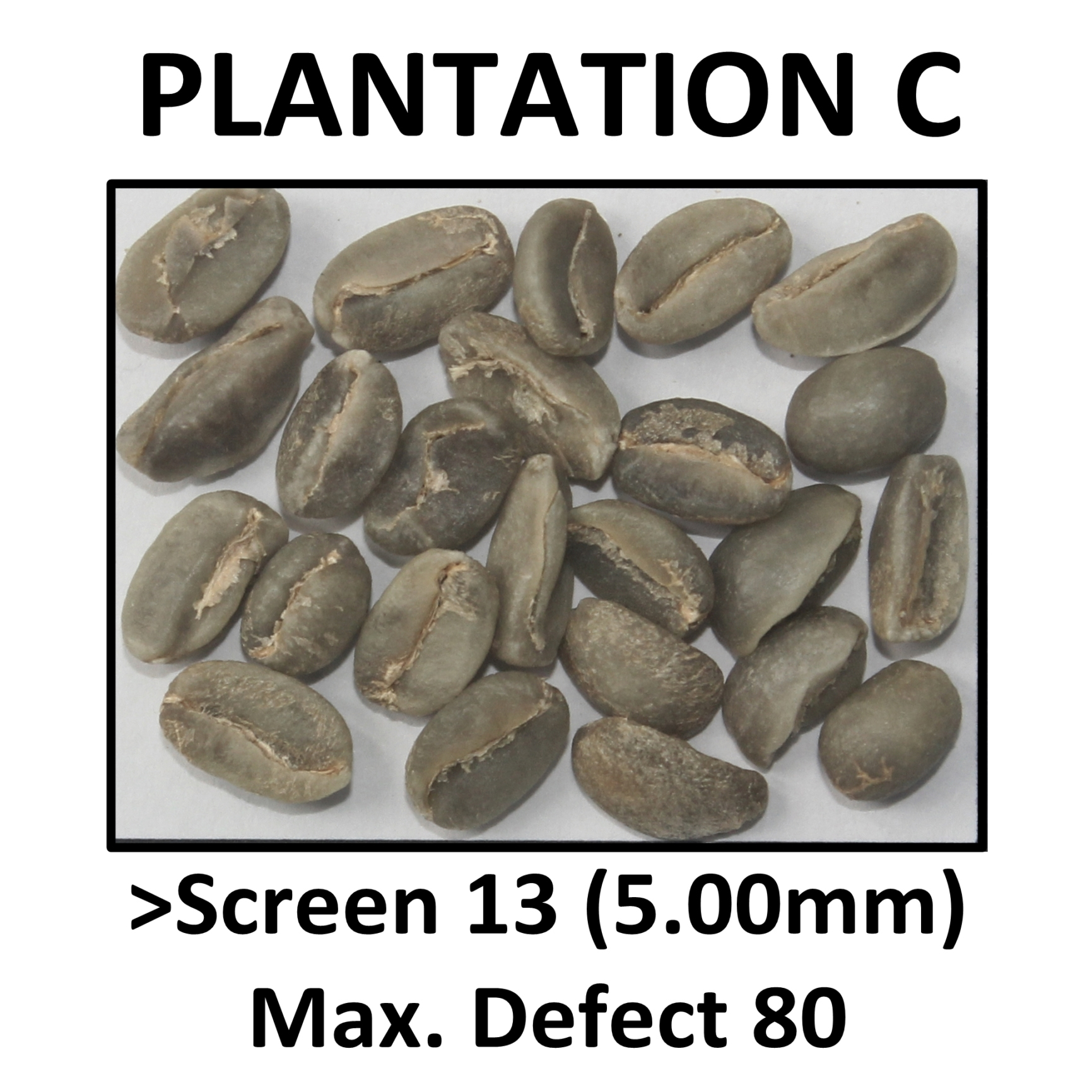 PLANTATION C
