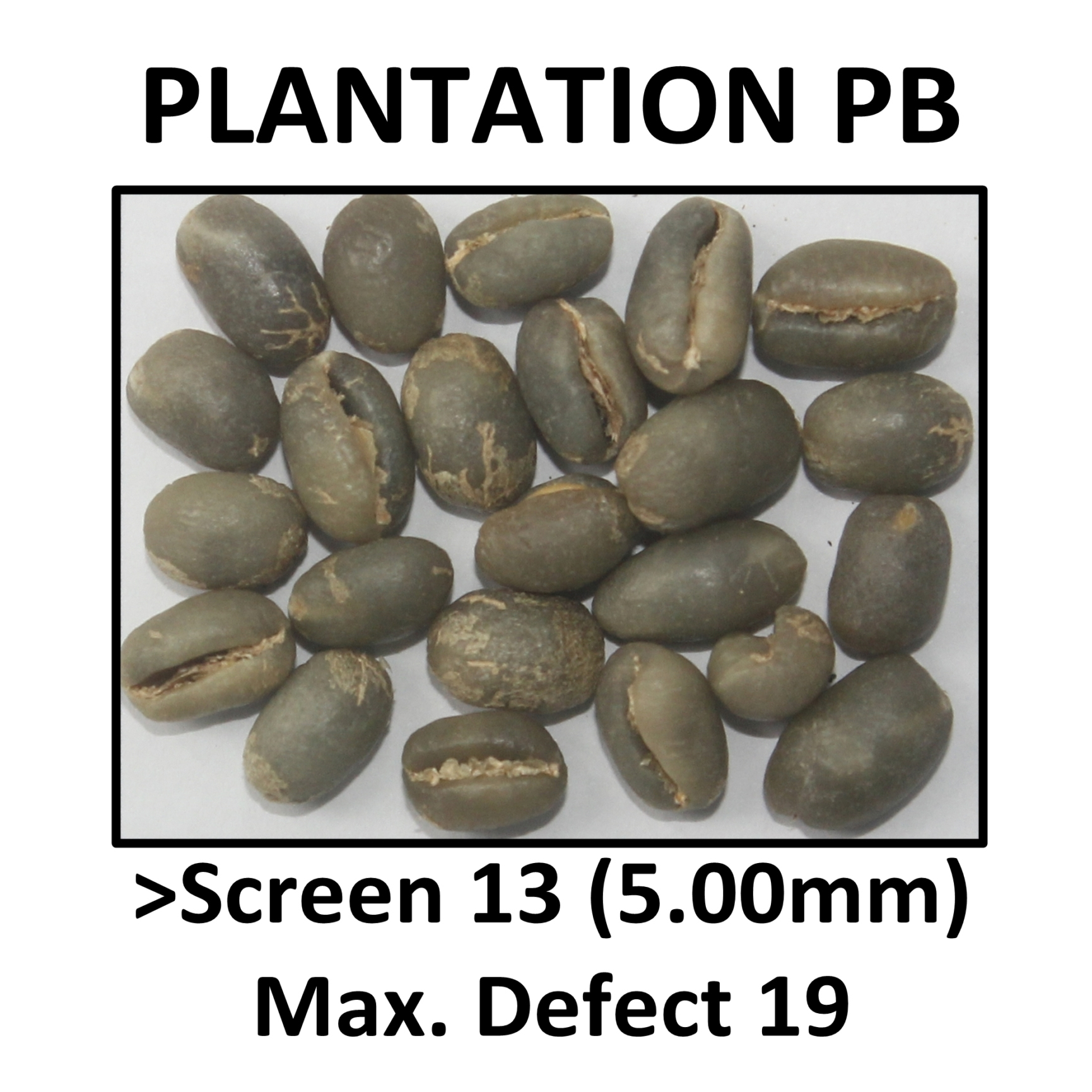 PLANTATION PB