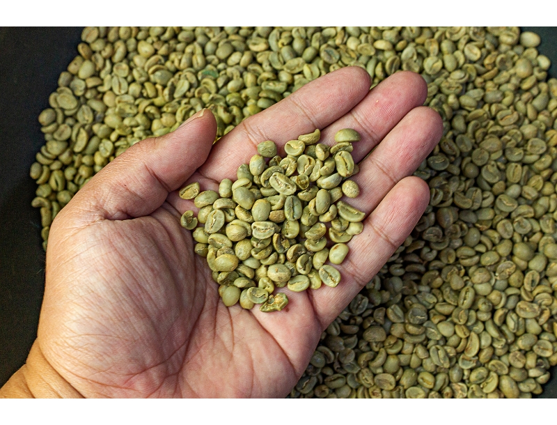Roasted Robusta Coffee Beans
