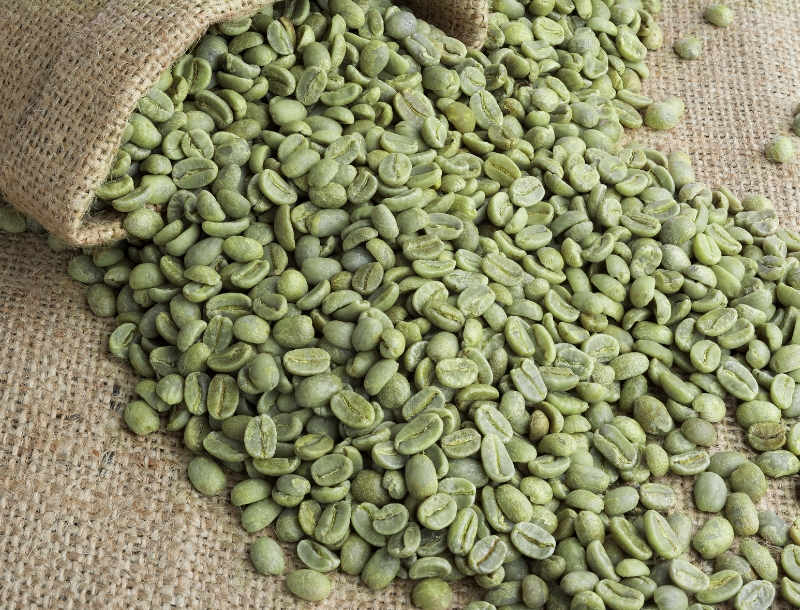 Robusta Coffee Beans